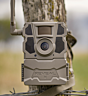 Benefits of Running Cameras During Late Season