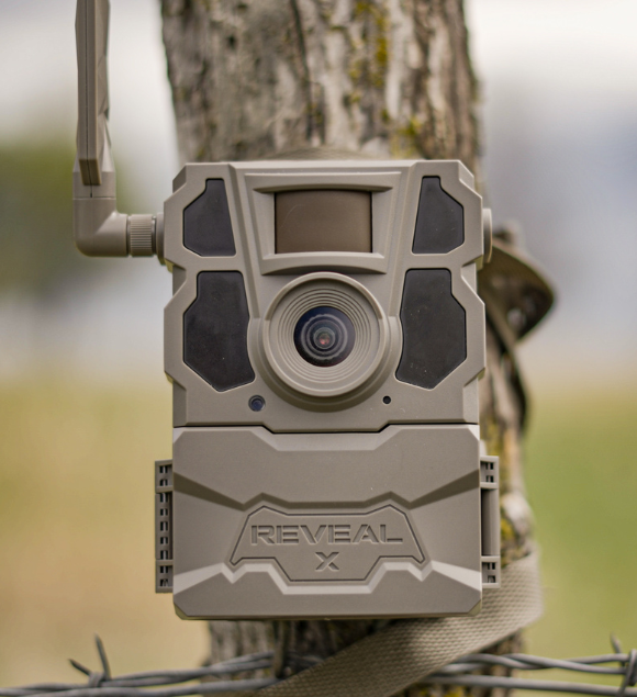 Benefits of Running Cameras During Late Season