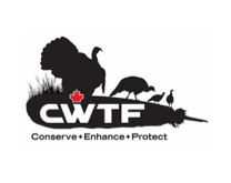 CWFT CWFT