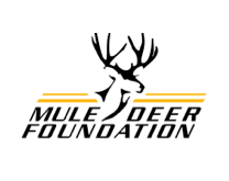 Mule Deer