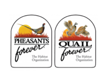 Quail Quail