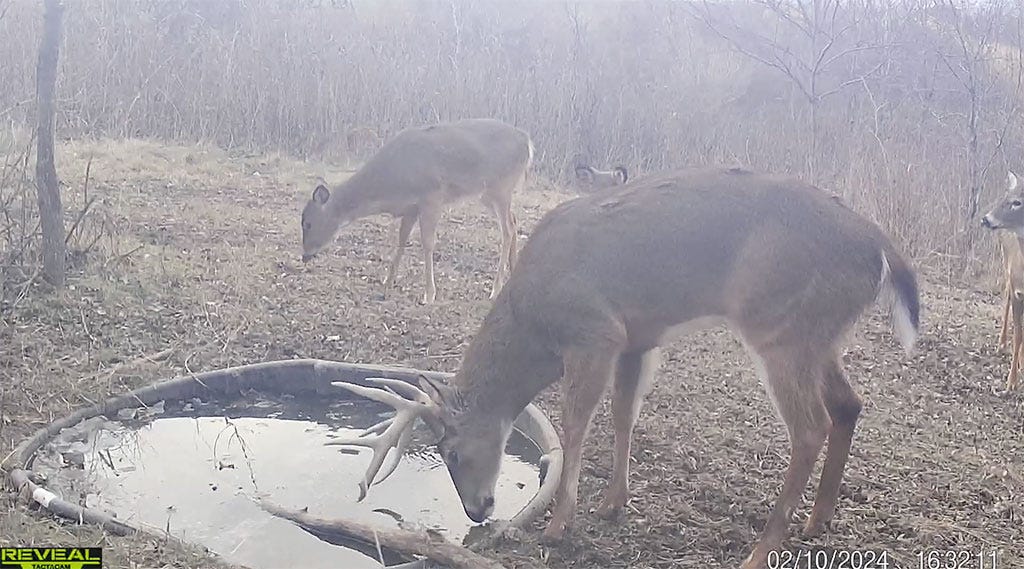 Trail Camera Placement for Success