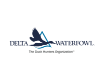 Delta waterfowl