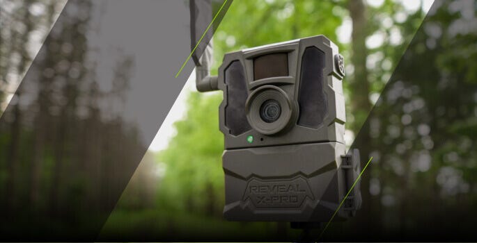 Reveal Trail Camera Secrets: Capture Wildlife Like a Pro